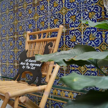 Con Encanto En Casa De Patio