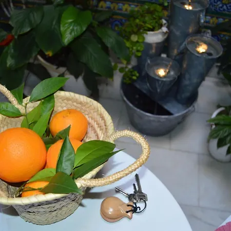 Con Encanto En Casa De Patio * Cordoue